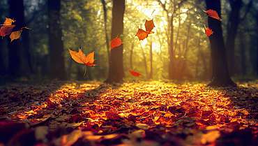 Fine settima misteri e delitti